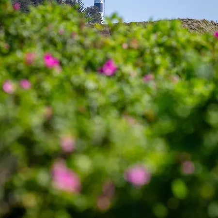 Ferienzentrum Apartament