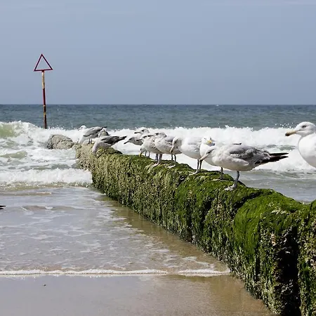 Apartament Ferienzentrum *